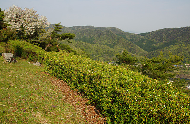 うぬまの森の風景の写真