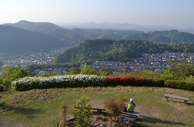 うぬまの森の風景の写真