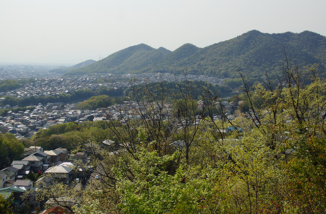 うぬまの森の風景の写真