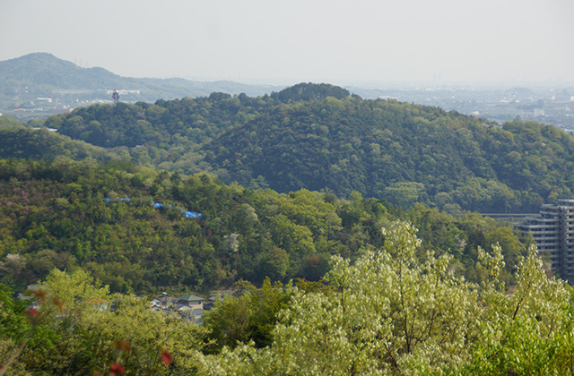 うぬまの森の風景の写真