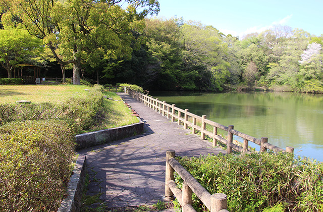 汚池の風景の写真