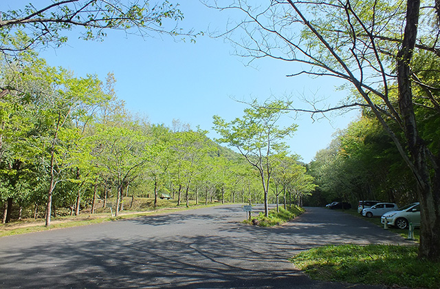 各務原アルプス（八木山北尾根）の風景の写真