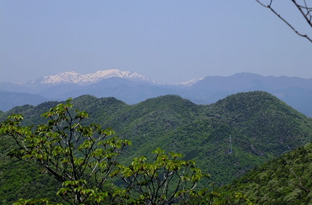 各務原アルプス（八木山北尾根）の風景の写真