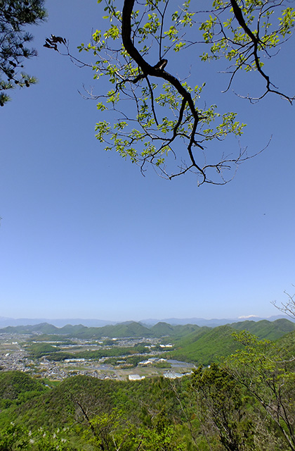 各務原アルプス（八木山北尾根）の風景の写真