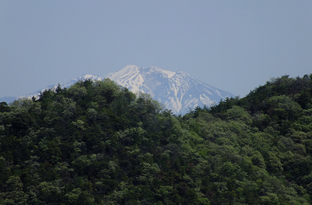 各務原アルプス（八木山北尾根）の風景の写真