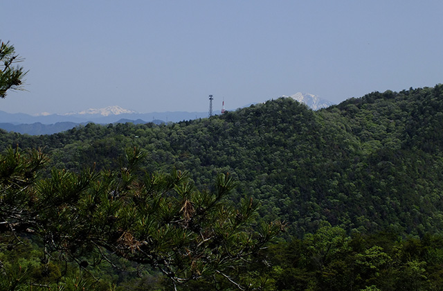 各務原アルプス（八木山北尾根）の風景の写真