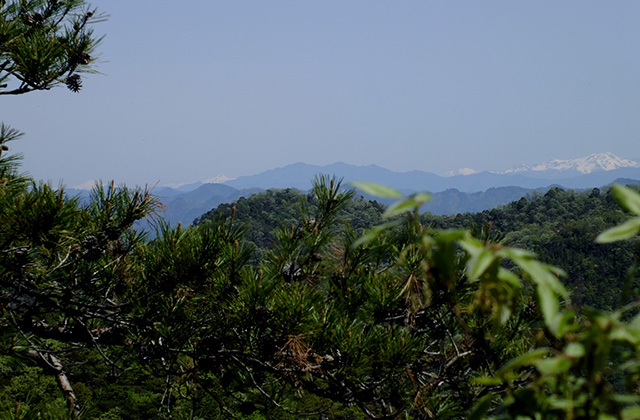 各務原アルプス（八木山北尾根）の風景の写真