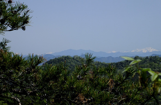 各務原アルプス（八木山北尾根）の風景の写真