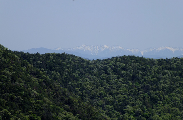 各務原アルプス（八木山北尾根）の風景の写真