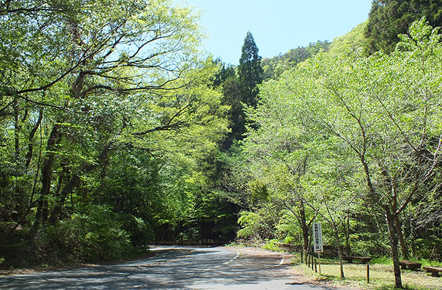 各務原アルプス（八木山北尾根）の風景の写真