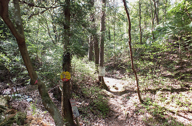 各務原アルプス（八木山北尾根）の風景の写真