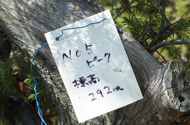 各務原アルプス（八木山北尾根）の風景の写真