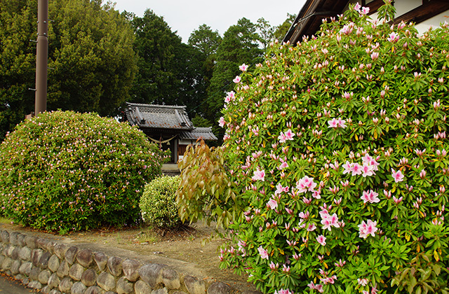 中山道の景色の写真