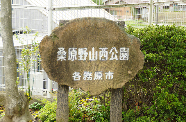 金縄塚古墳の風景の写真