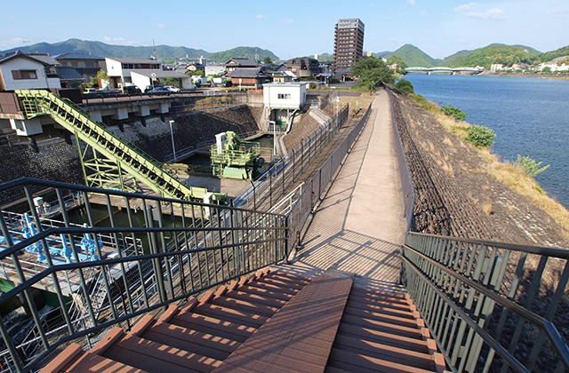 木曽川河畔遊歩道の風景の写真