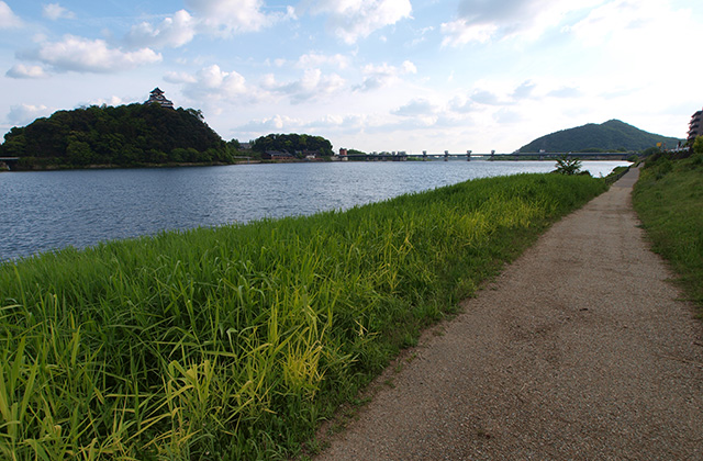木曽川河畔遊歩道の風景の写真