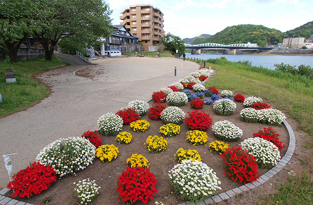 木曽川河畔遊歩道の風景の写真