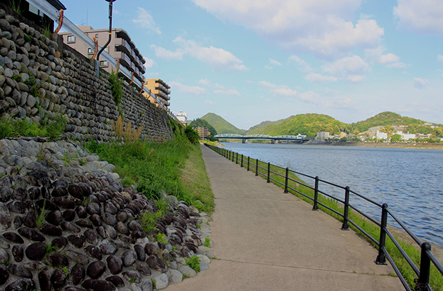 木曽川河畔遊歩道の風景の写真