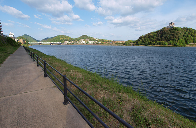 木曽川河畔遊歩道の風景の写真