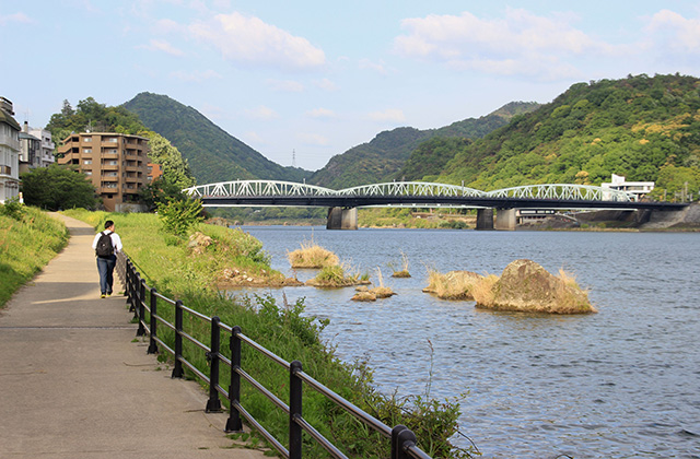 木曽川河畔遊歩道の風景の写真
