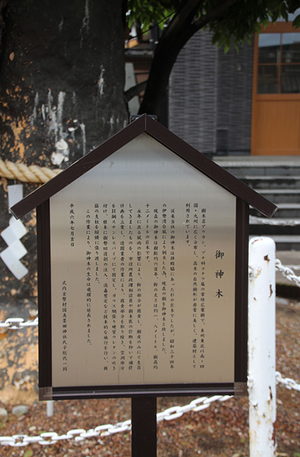 村国真墨田神社の風景の写真