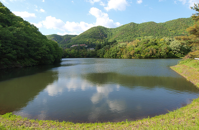 寒洞池の風景の写真