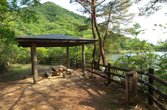 寒洞池の風景の写真