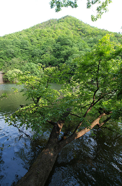 寒洞池の風景の写真