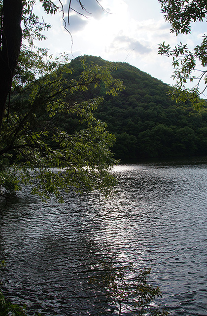 寒洞池の風景の写真