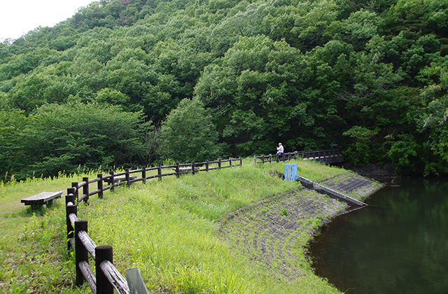 寒洞池の風景の写真