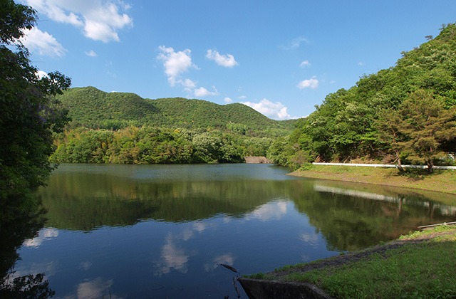 寒洞池の風景の写真