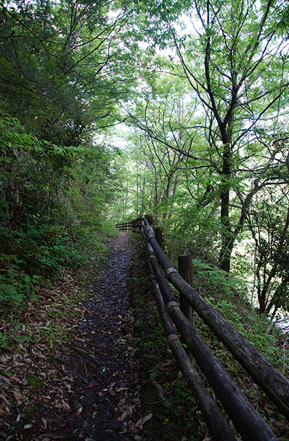 寒洞池の風景の写真