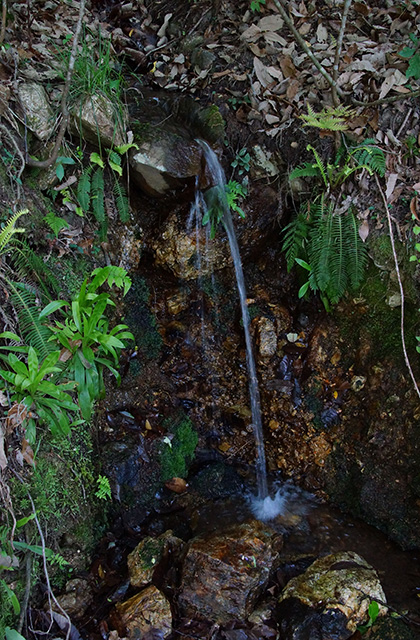 寒洞池の風景の写真