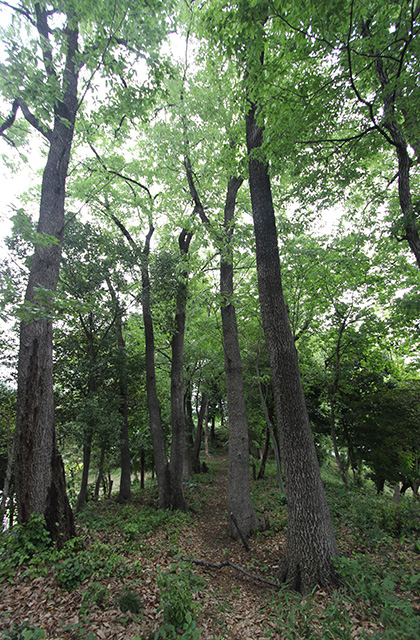 鵜沼羽場町の風景の写真