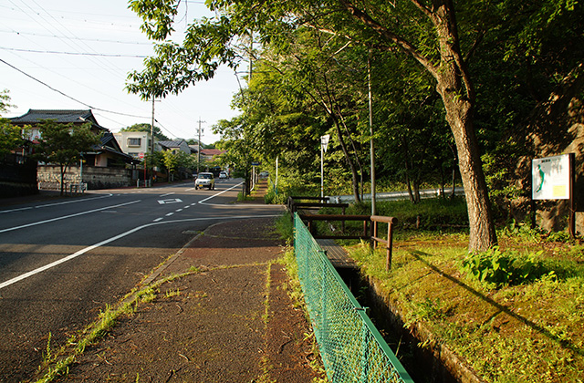 緑苑ふれあいの小道の風景の写真