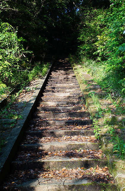 緑苑ふれあいの小道の風景の写真