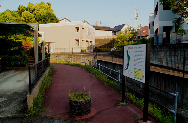 緑苑ふれあいの小道の風景の写真