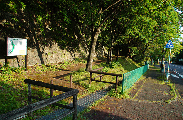 緑苑ふれあいの小道の風景の写真