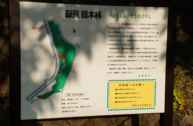 緑苑ふれあいの小道の風景の写真