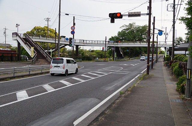 矢熊山南掩体壕の風景の写真