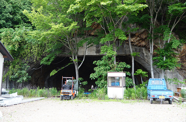 矢熊山南掩体壕の風景の写真
