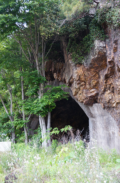矢熊山南掩体壕の風景の写真