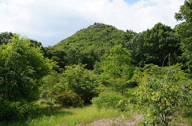 どんぐり山の景色の写真