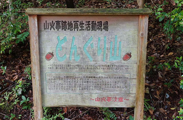 どんぐり山の景色の写真