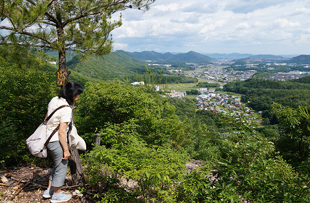どんぐり山の景色の写真