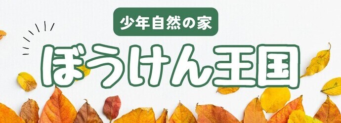 ぼうけん王国