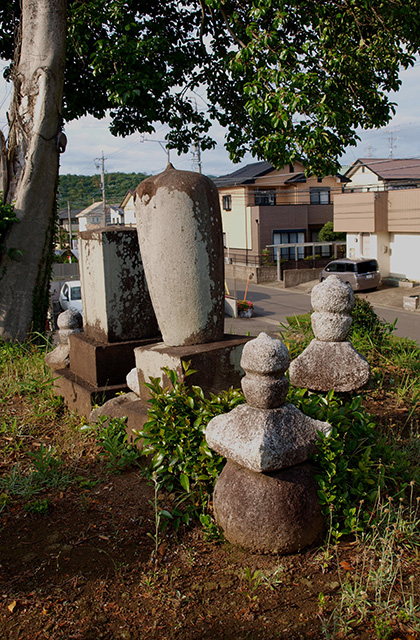 行念寺古墳の景色の写真