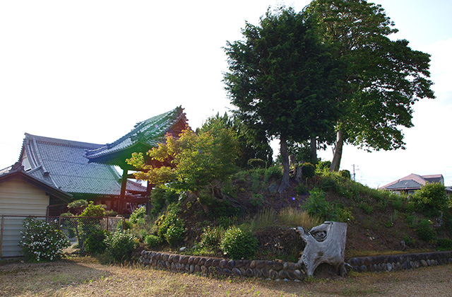 行念寺古墳の景色の写真