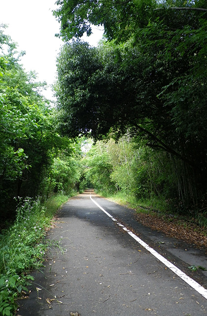 木曽川沿いのサイクリングロードの写真