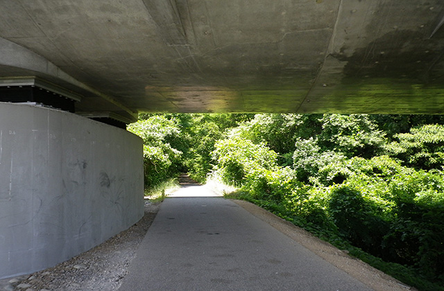 木曽川沿いのサイクリングロードの写真